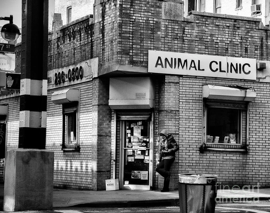 Corner in Brooklyn Animal Clinic  Photograph by Chuck Kuhn