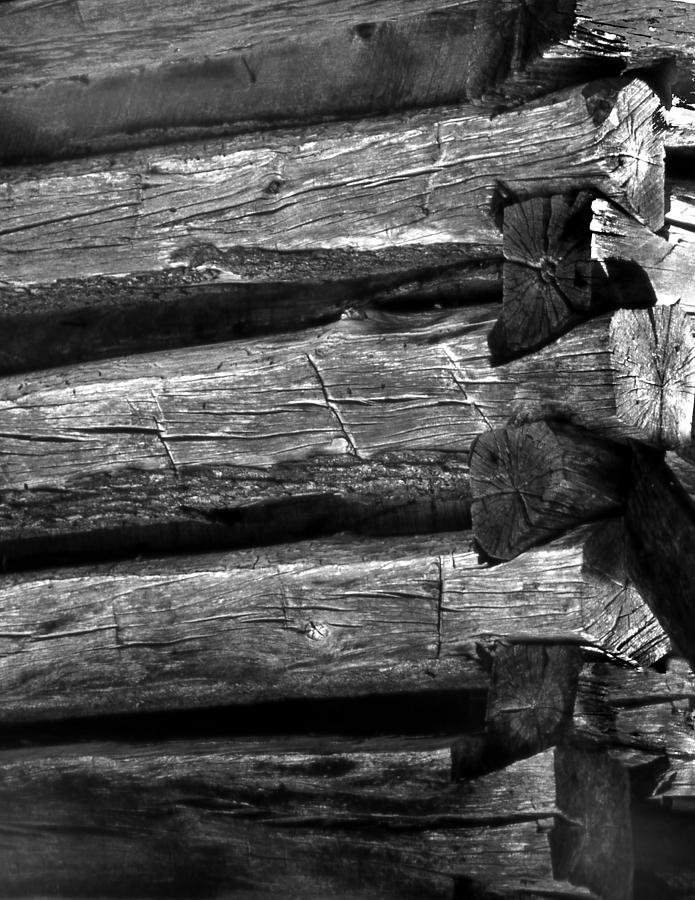 Corner-logs Photograph by Curtis J Neeley Jr
