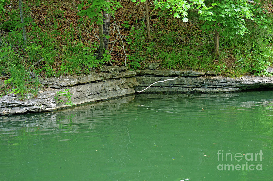 Nature Photograph - Corner Of The Lake by Diane Friend