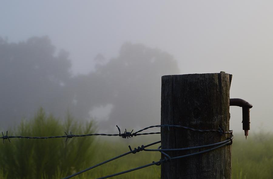 Corner Post and Fog Photograph by Warren Thompson