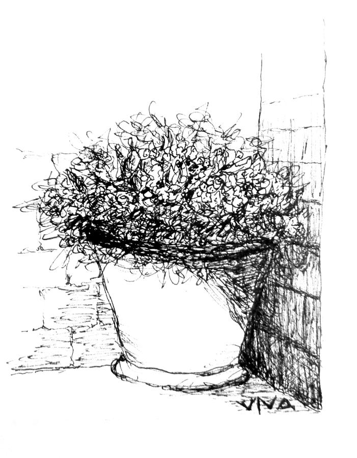Corner Pot Sketch Drawing by VIVA Anderson