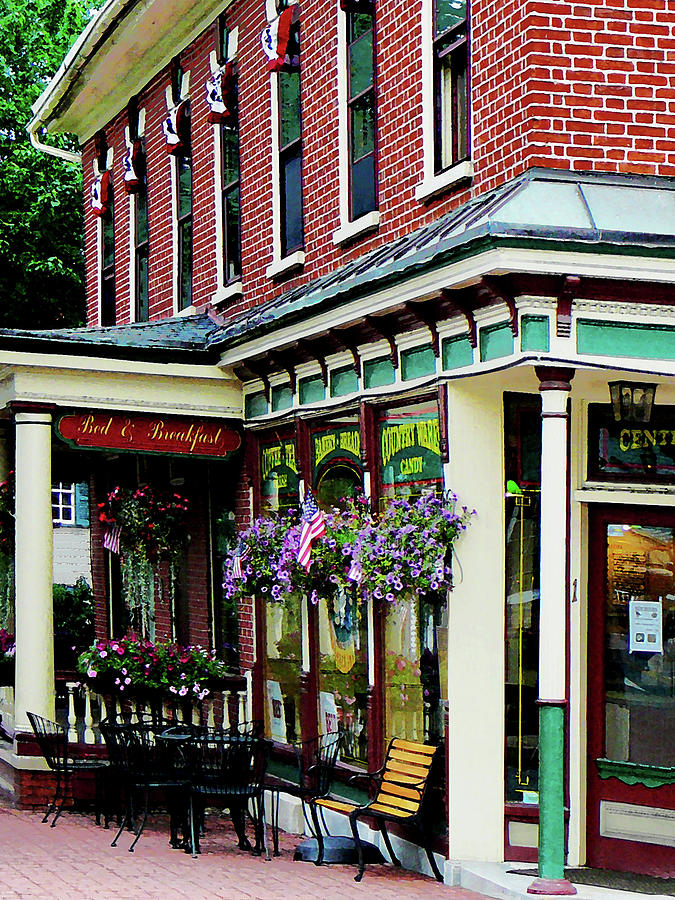 Corner Restaurant with Hanging Plants Photograph by Susan Savad | Fine ...