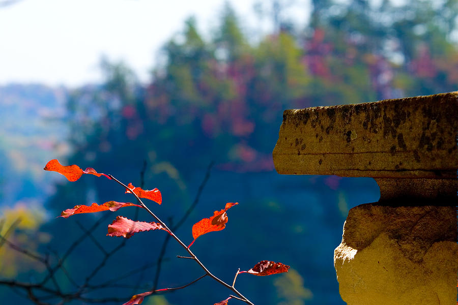 Fall Photograph - Corner Stone by William Furguson