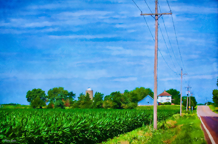Cornfield and Country Road Photograph by Anna Louise