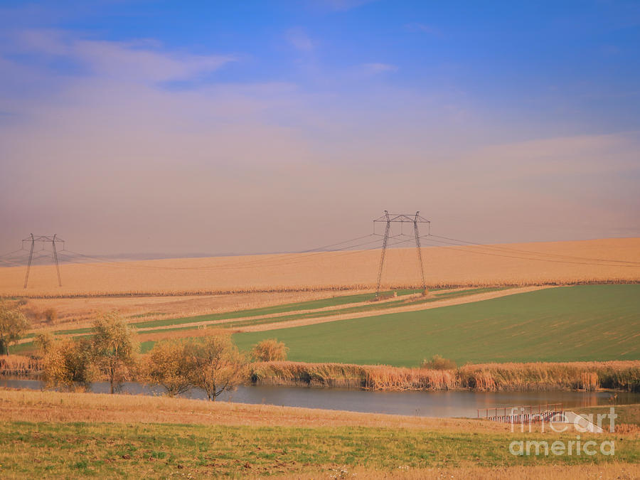 Cornfield and electric towers Photograph by Claudia M Photography
