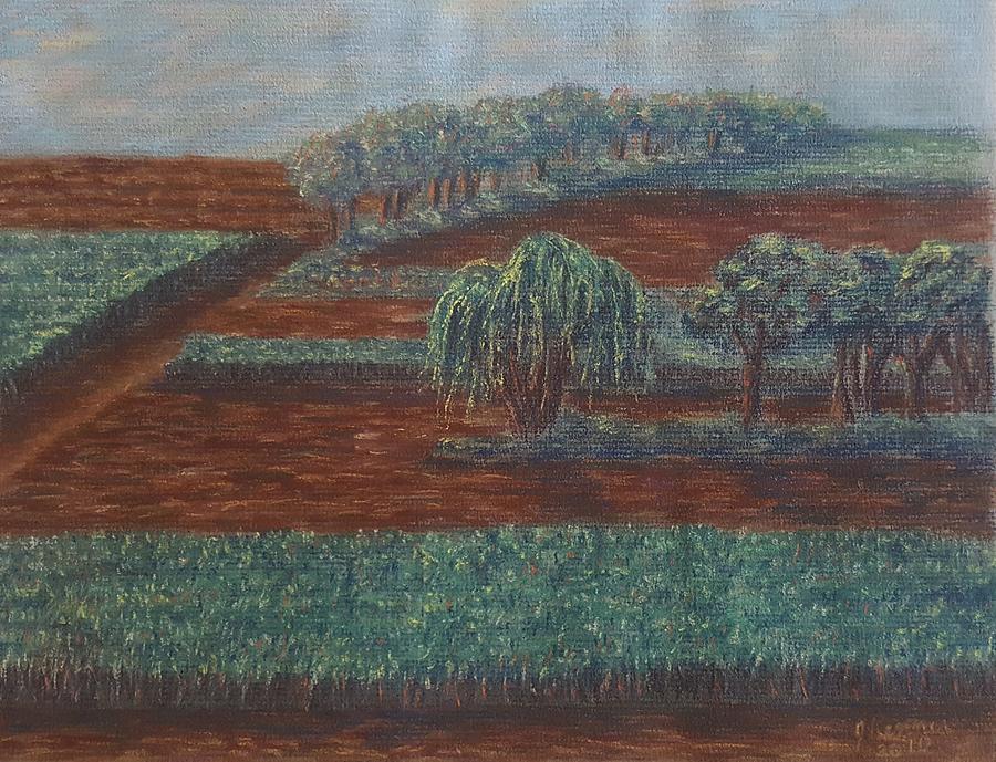 Farm Pastel - Cornfields by Joann Renner