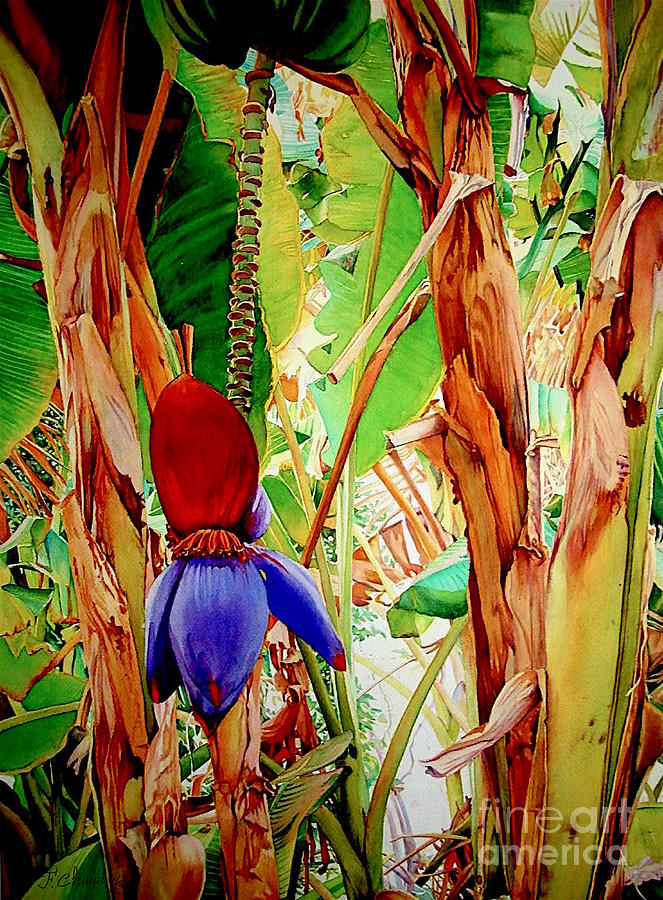 Banana flower Painting by Francoise Chauray