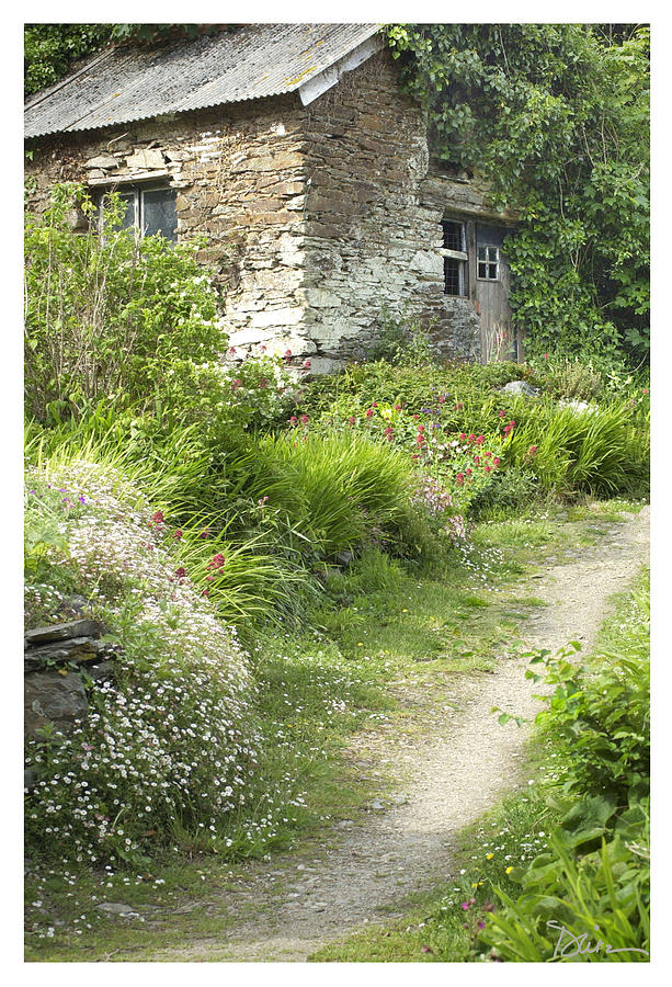 Cornwall Cottage Photograph by Peggy Dietz