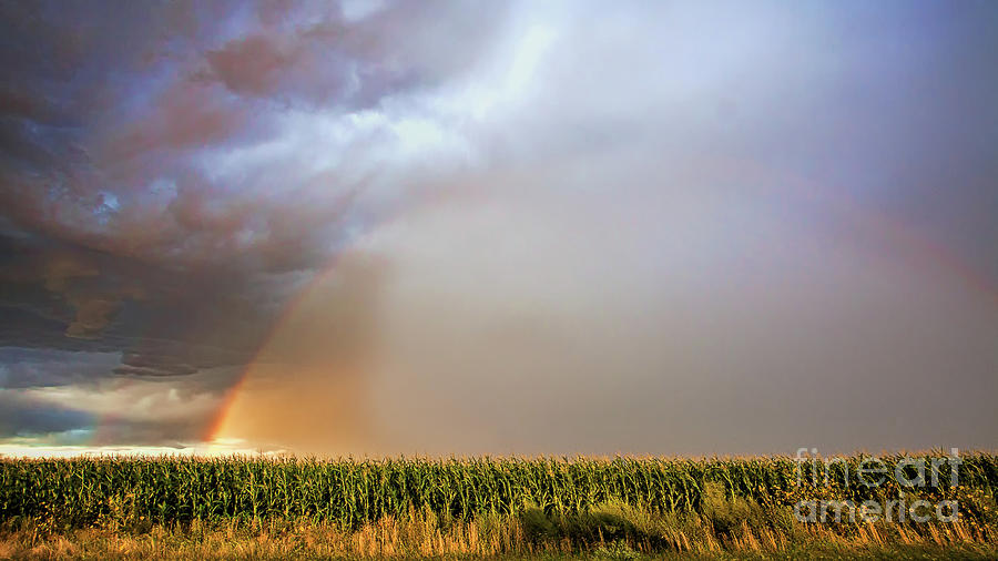 Corny Weather Photograph by Jim Garrison