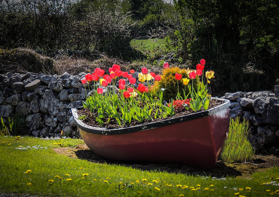 Corofin Flower Boat Photograph by James Truett
