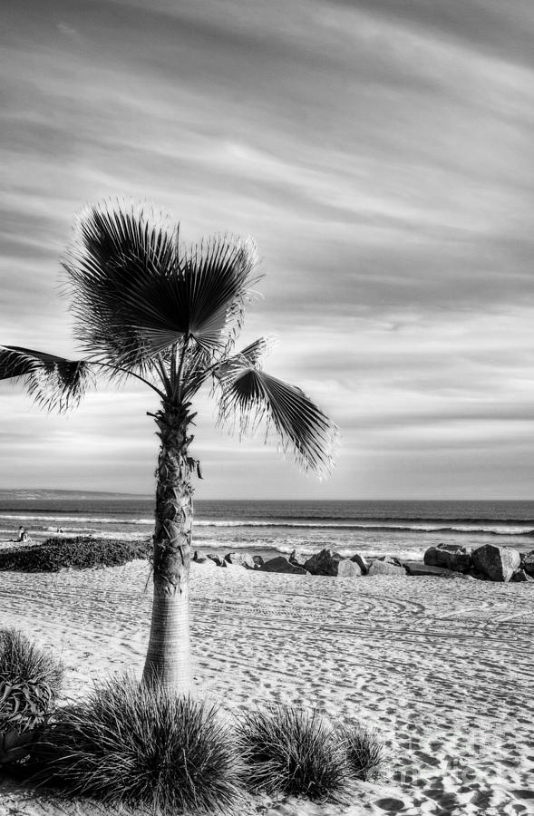 Coronado Beach Dreams BW Photograph by Mel Steinhauer