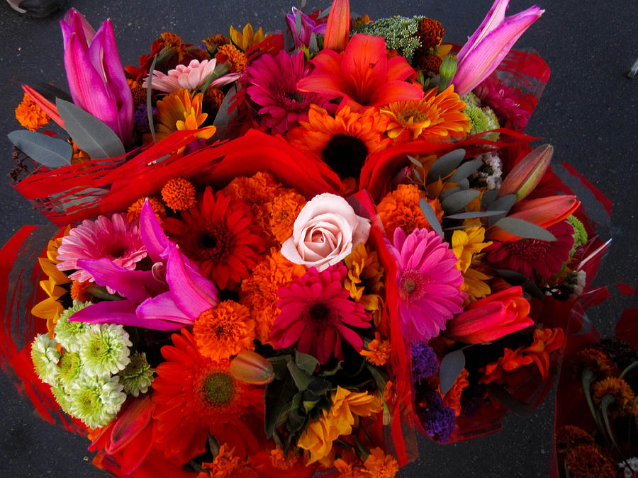 Coronado Farmers Market Flowers Photograph by Sharon French - Fine Art ...