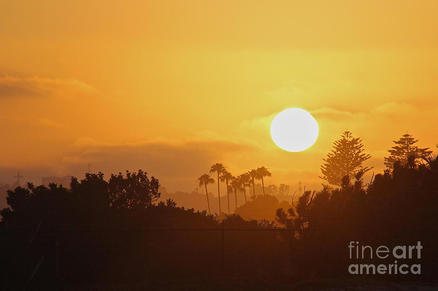 Coronado Sunset Photograph by Suzanne Oesterling