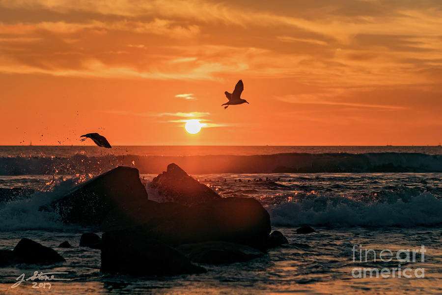 Coronado Sunset With Seagulls Photograph by Jeffrey Stone Coronado Sunset With Seagulls Photograph by Jeffrey Stone