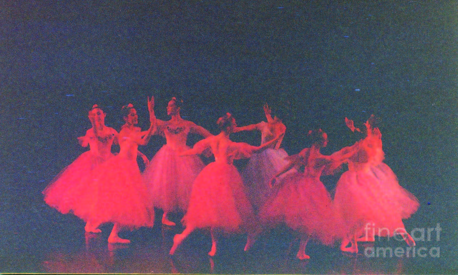 Corps de Ballet II Photograph by Mia Alexander