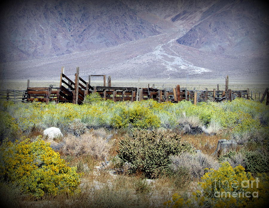Corral Photograph - Corral in the middle of nowhere by Joy Patzner Corral Photograph - Corral in the middle of nowhere by Joy Patzner