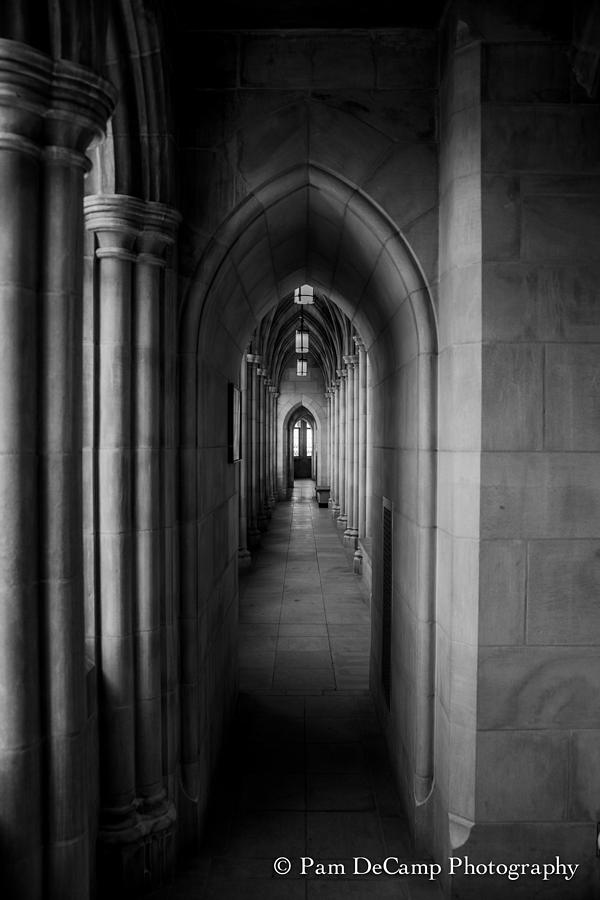 Corridor Photograph by Pam DeCamp