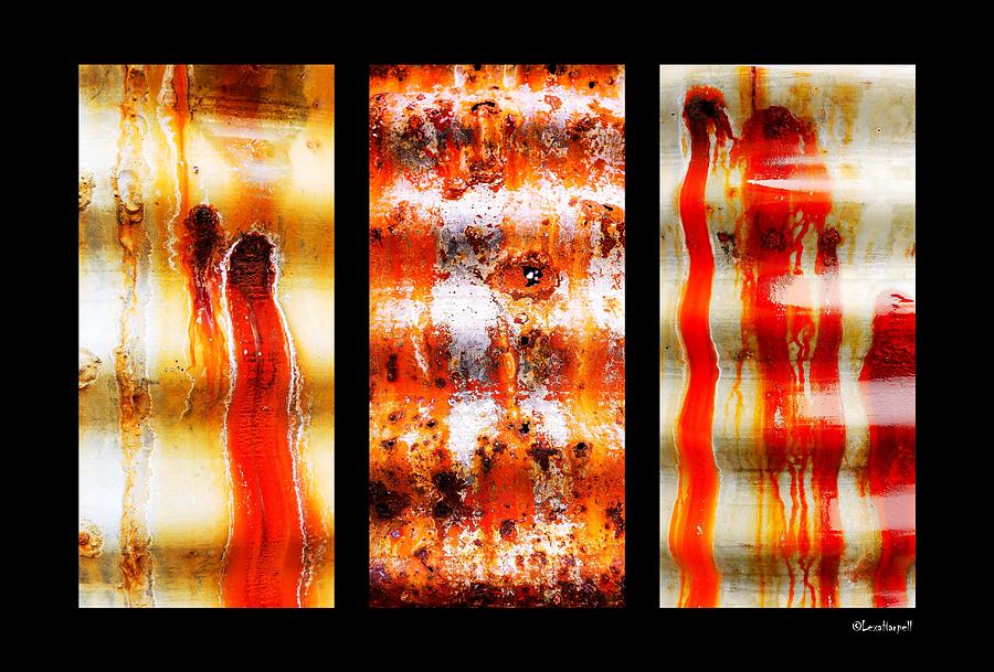 Corrugated Iron Triptych #1 Photograph by Lexa Harpell