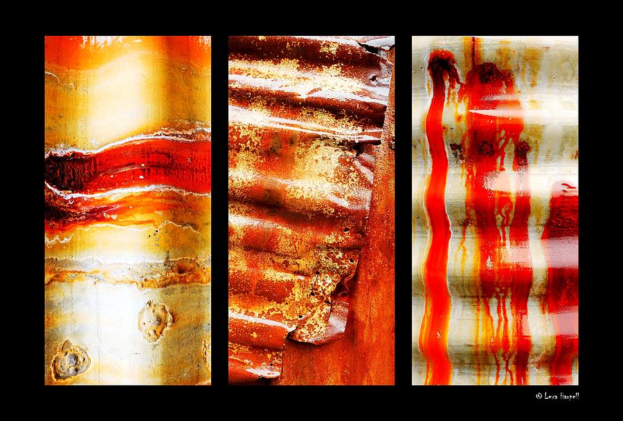 Corrugated Iron Triptych #4 Photograph by Lexa Harpell