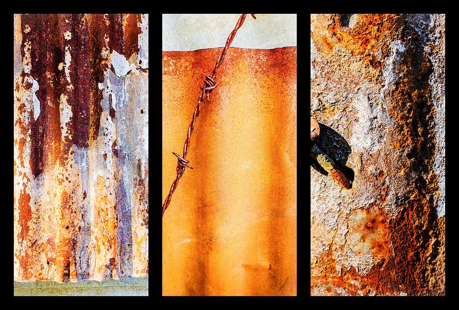 Corrugated Iron Triptych #8 Photograph by Lexa Harpell