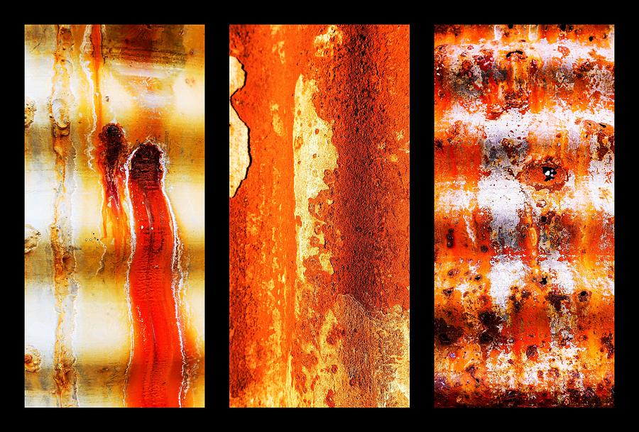 Corrugated Iron Triptych #9 Photograph by Lexa Harpell