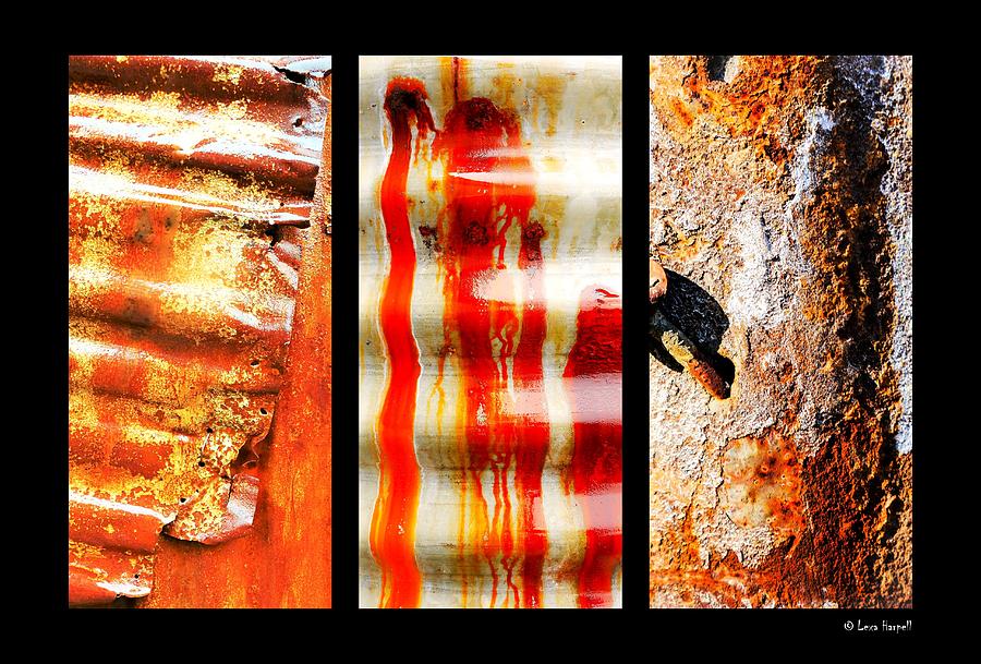 Corrugated Iron Triptych #3 Photograph by Lexa Harpell
