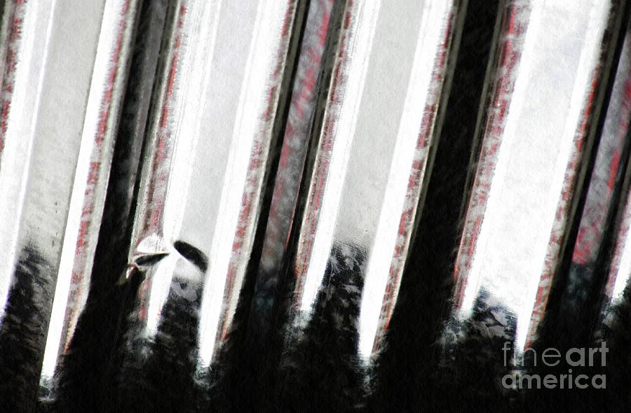 Abstract Photograph - Corrugated Metal Abstract 6 by Sarah Loft