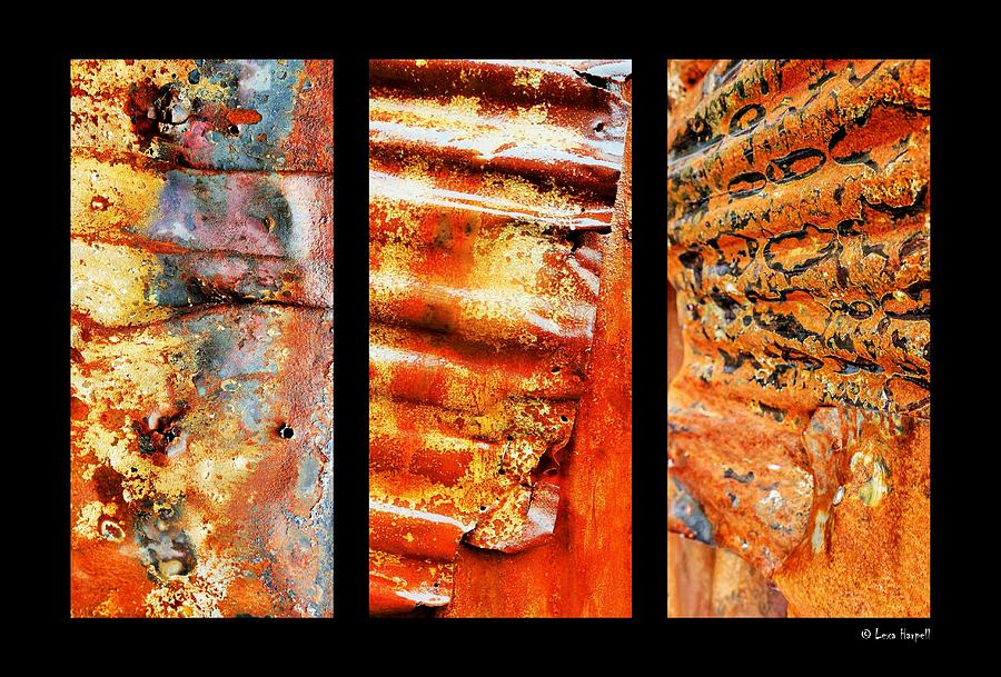 Corrugated Iron Triptych #2 Photograph by Lexa Harpell