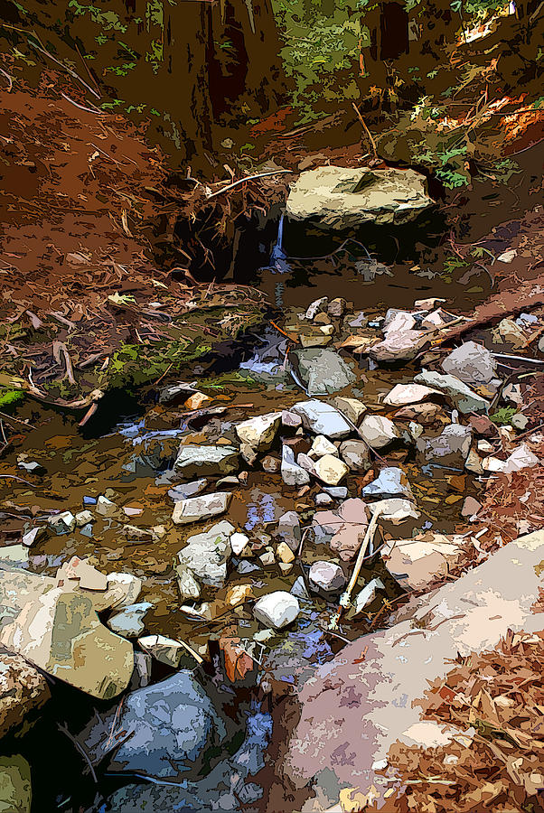 Corte Madera Creek on Mt Tamalpais #7 Enhanced Image Photograph by Ben Upham III