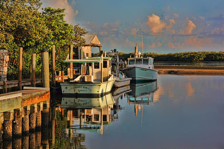 Cortez Fishing Village  Photograph by HH Photography of Florida