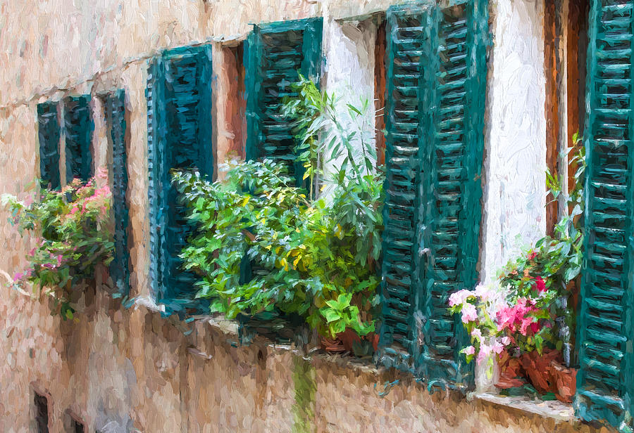 Flower Painting - Cortona Window Flowers by David Letts