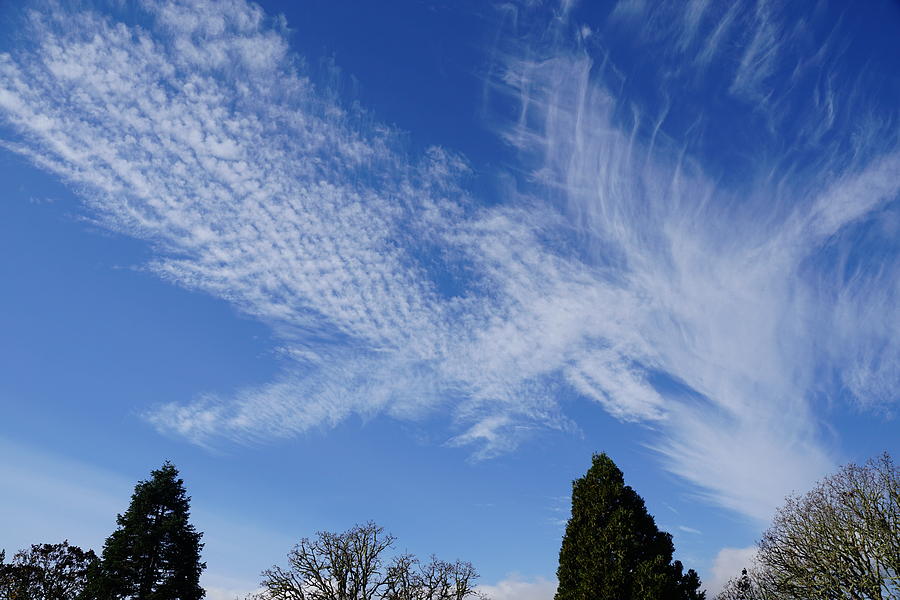 Corvallis Cloudscape Photograph by Ben Upham III