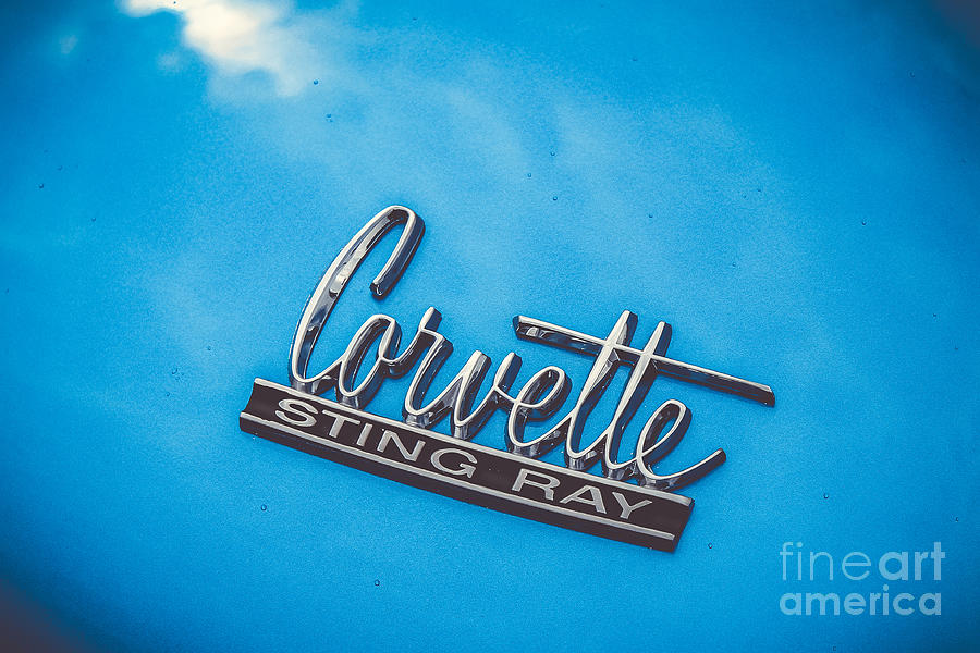 Corvette - 1967 Photograph by Claudia M Photography