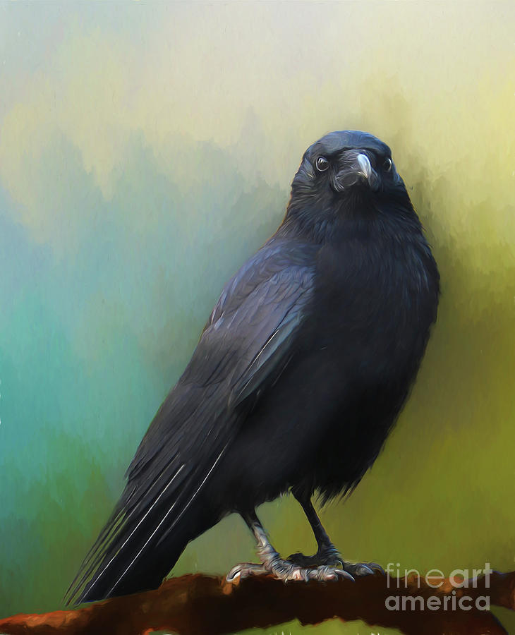 Crow Painting - Corvid by Jim Hatch