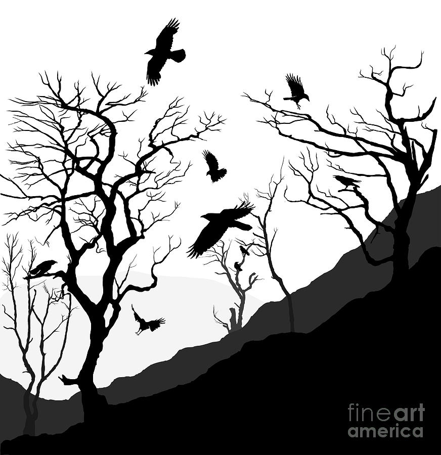 Crow Photograph - Crows Roost by Philip Openshaw