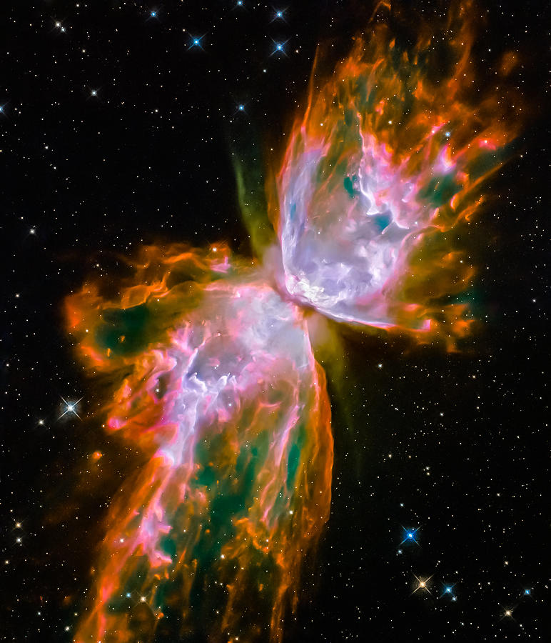 Cosmic Butterfly Photograph