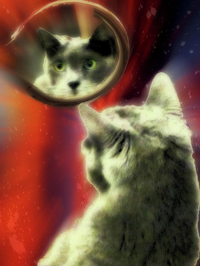 Cosmic Cat Digital Art by Another Dimension Art 