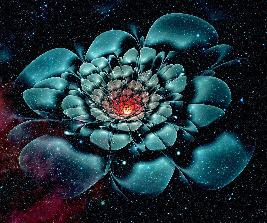 Cosmic Flower Digital Art by Anastasiya Malakhova