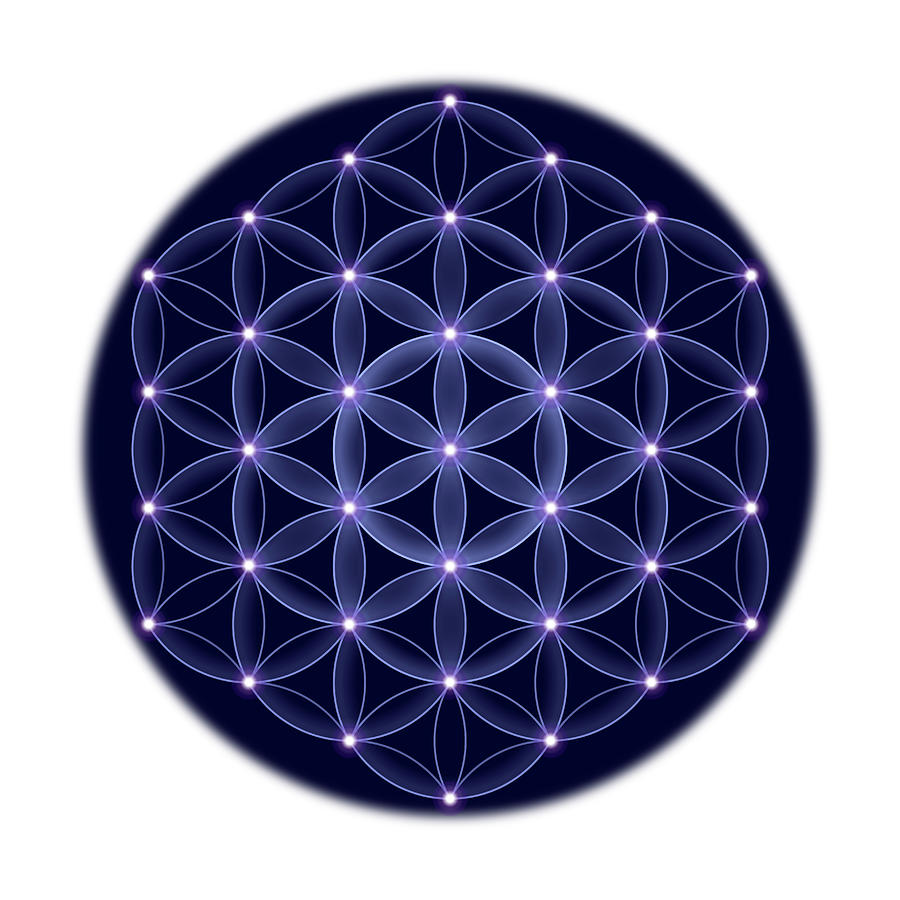 Cosmic Flower of Life With Stars on White Background Digital Art by ...