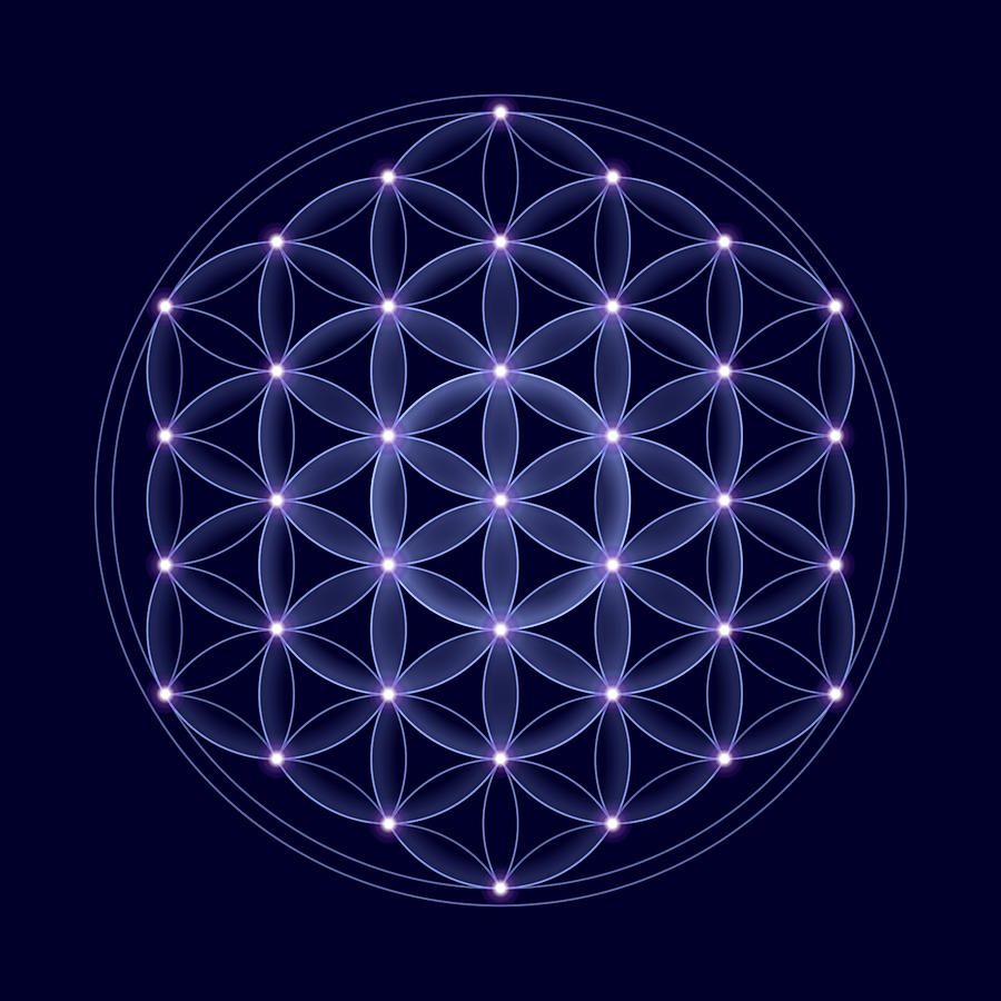 flower of life sacred geometry
