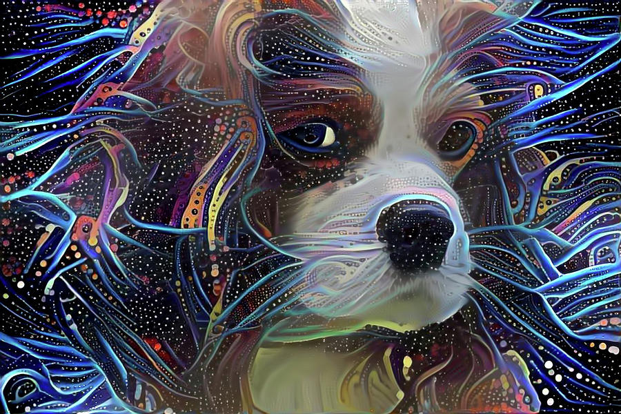 Cosmic King Charles Spaniel Digital Art by Peggy Collins