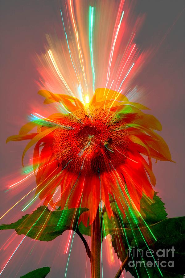 Cosmic Sunflower Photograph by Rick Rauzi