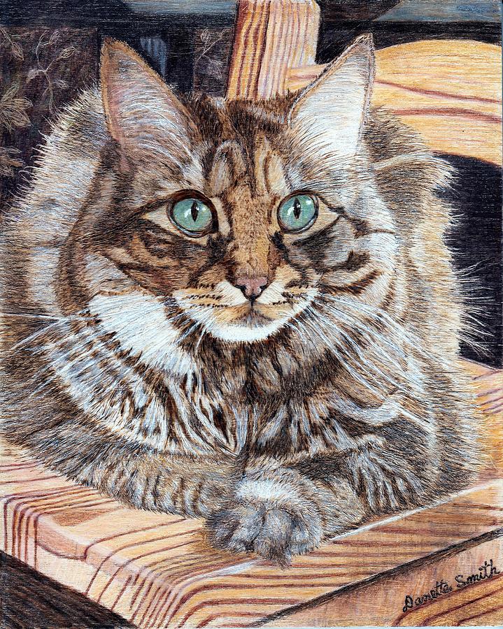 Cat Pyrography - Cosmo by Danette Smith