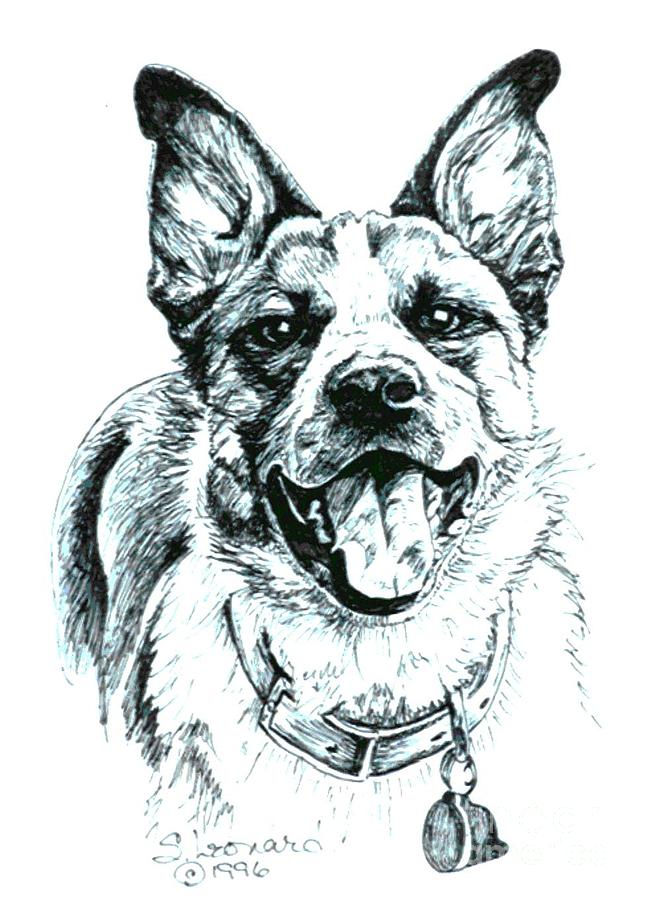 Dog Drawing - Cosmo by Suzanne Leonard