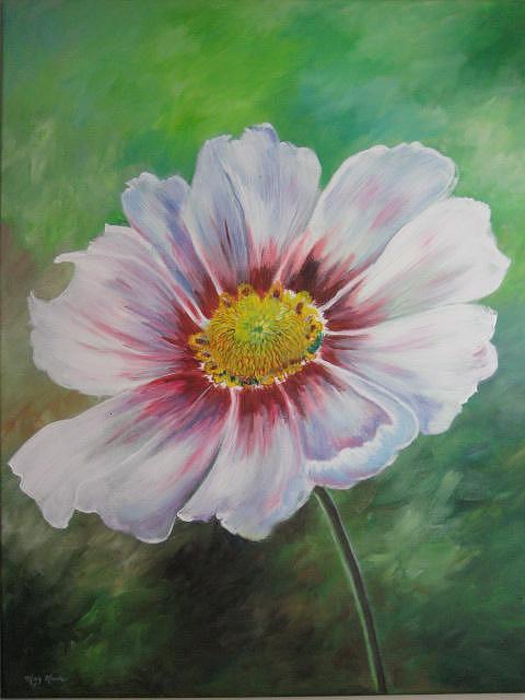 Flower Painting - Cosmos by May Moore