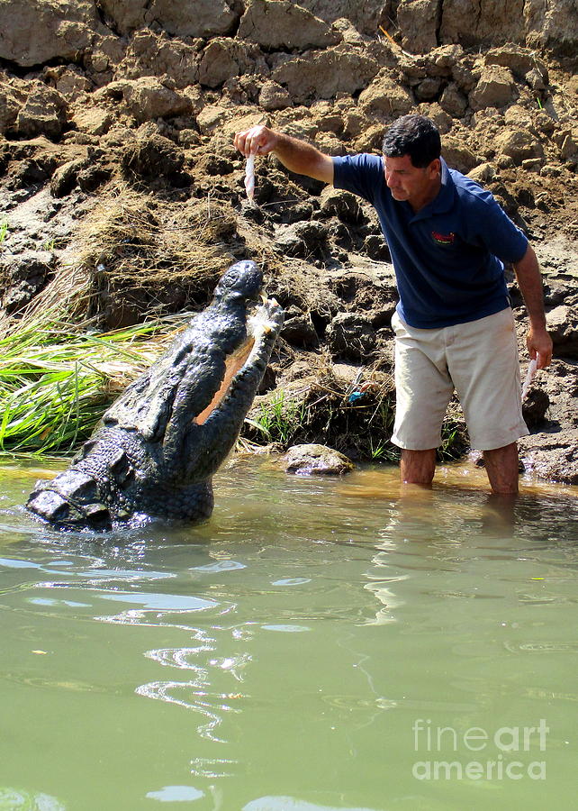 Crocodile Photograph - Costa Rica Crocodile 3 by Randall Weidner