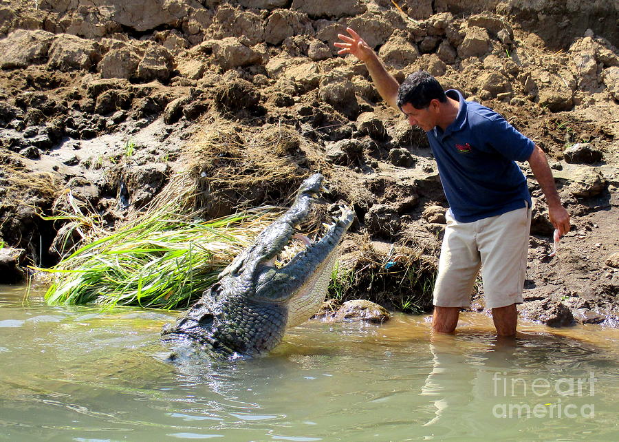 Costa Rica Crocodile 4 Photograph by Randall Weidner