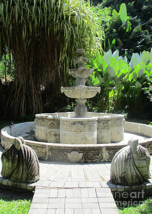 Costa Rica Fountain Photograph by Randall Weidner