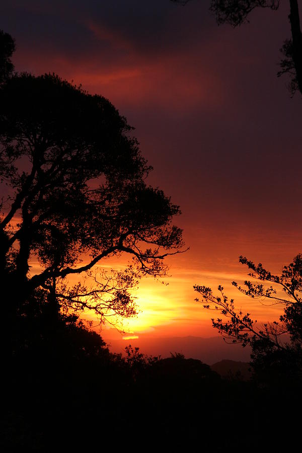 Costa Rica Sunset Photograph by Linda Russell