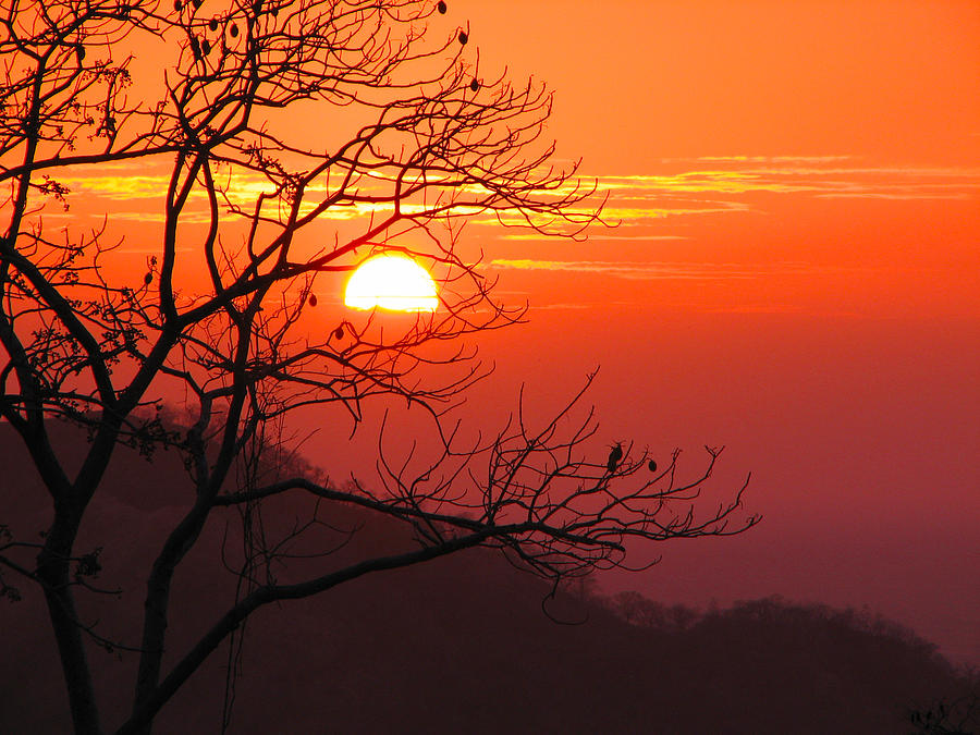 Sunset Photograph - Costa Rica Sunset by Spencer Bush